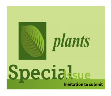 Special Issue on Plant Morphogenesis In Vitro – Invitation to submit